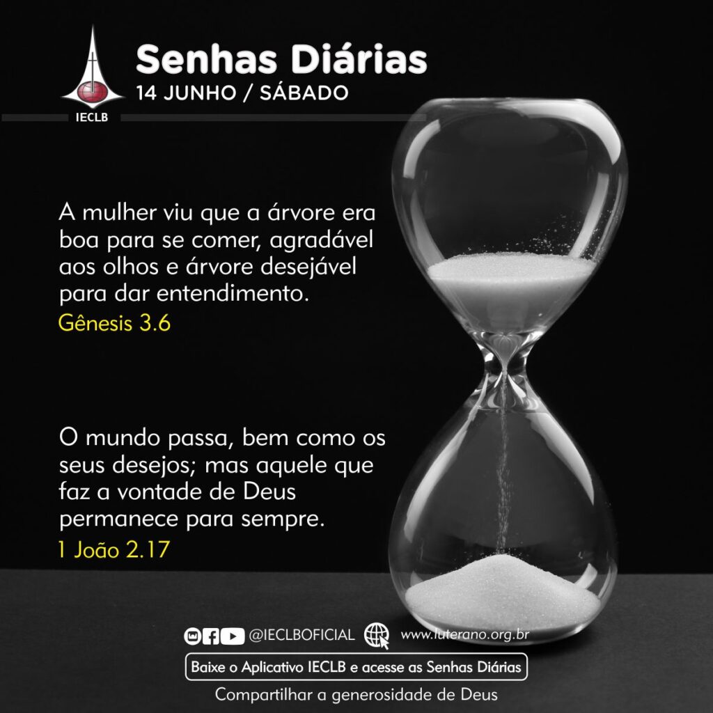 Senhas Diárias 14 06 2025