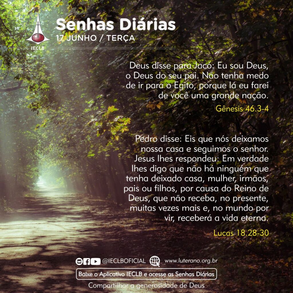 Senhas Diárias 17 06 2025
