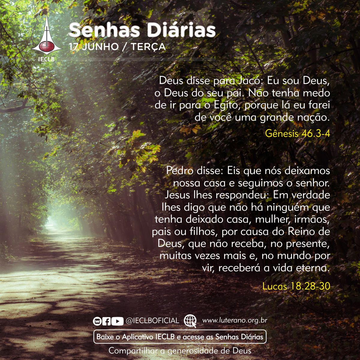 Senhas Diárias 17 06 2025