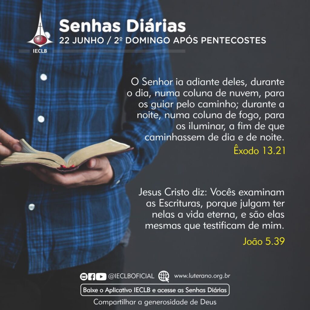 Senhas Diárias 22 06 2025