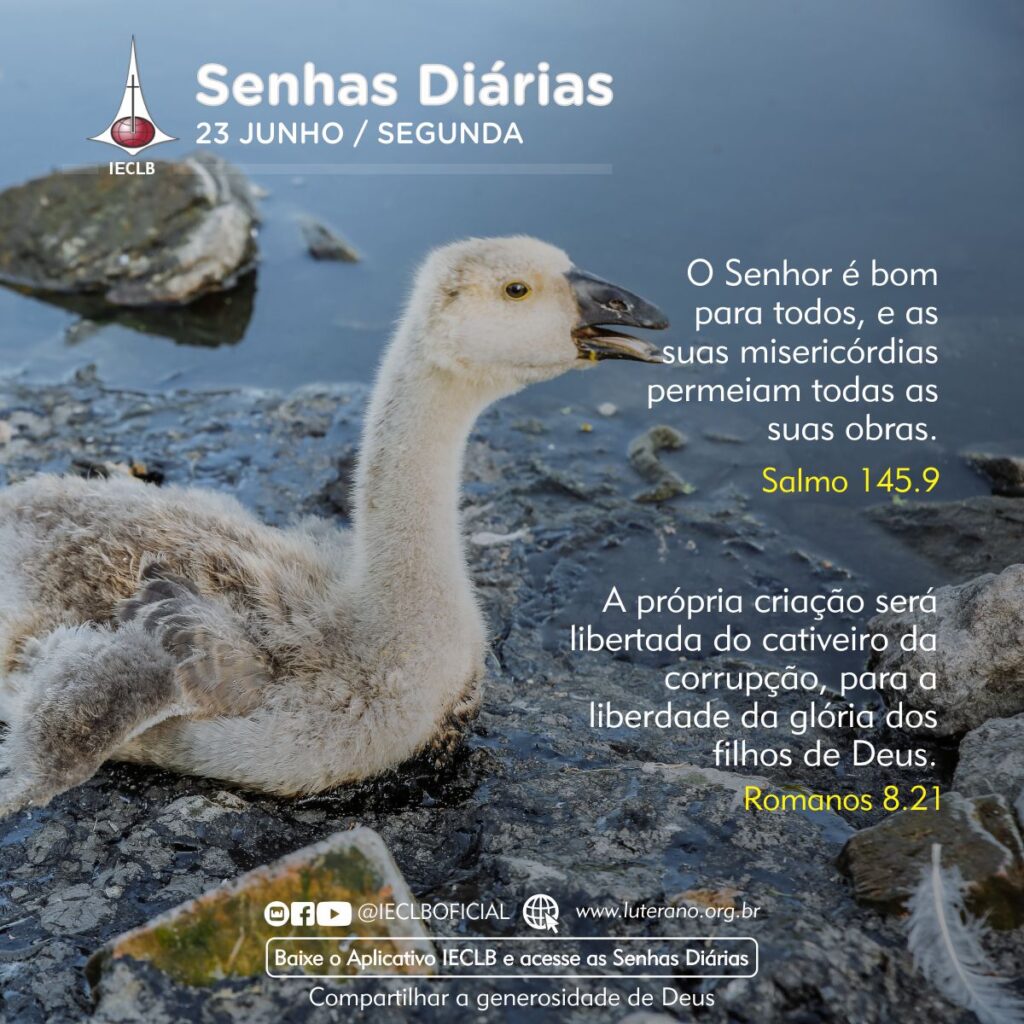 Senhas Diárias 23 06 2025
