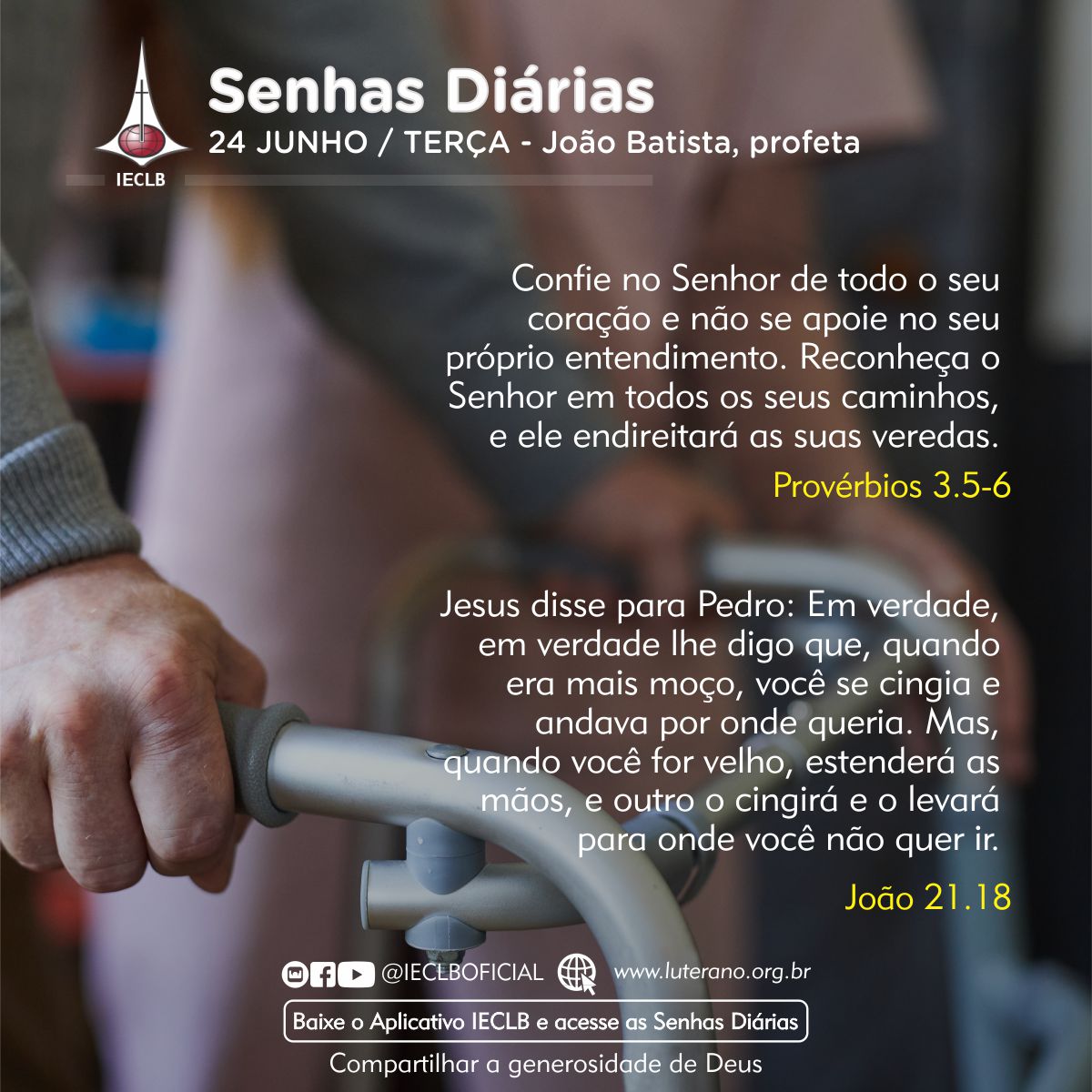 Senhas Diárias 24 06 2025
