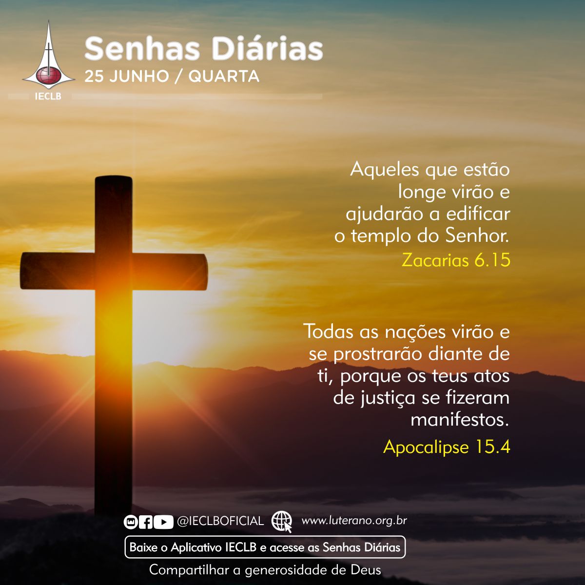 Senhas Diárias 25 06 2025