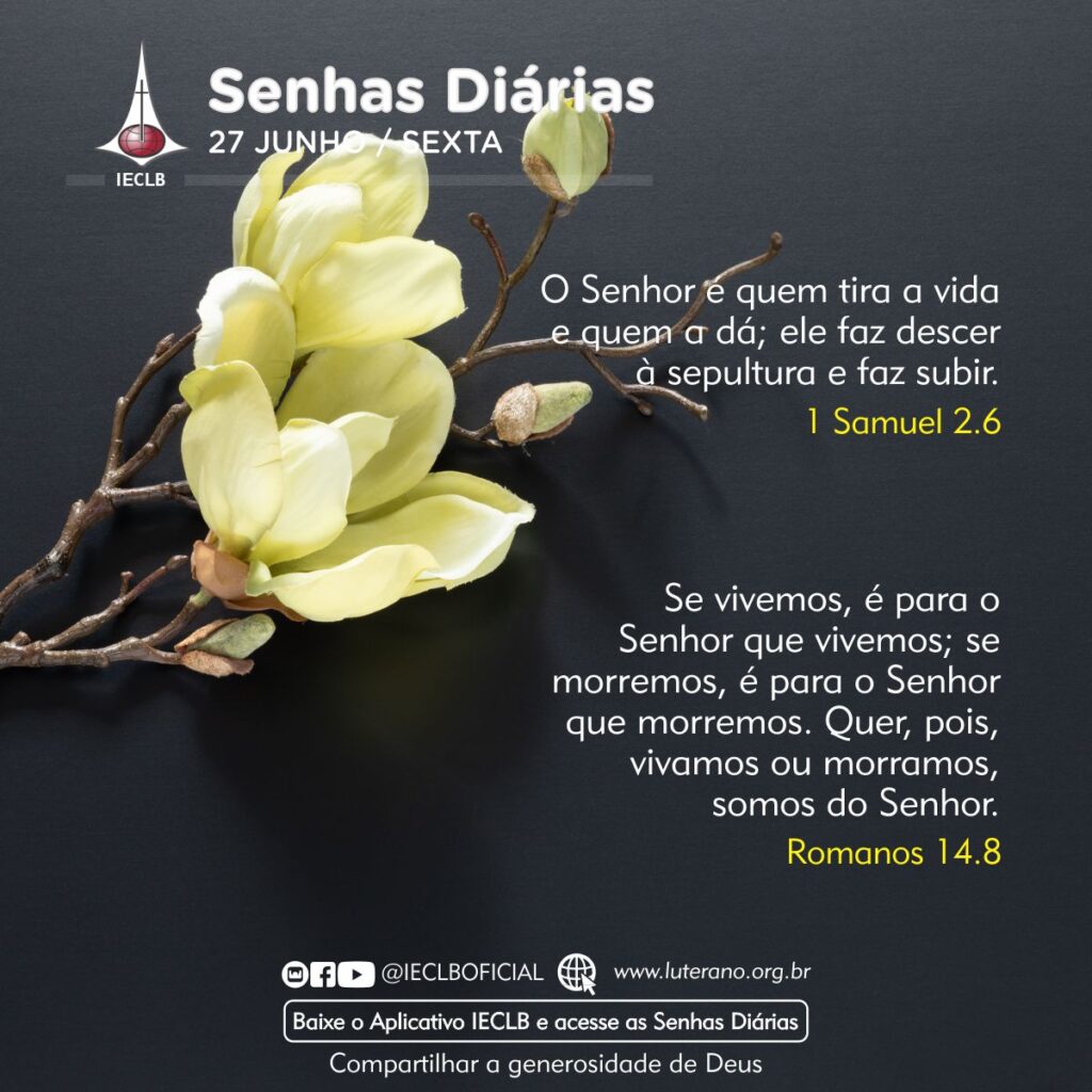 Senhas Diárias 27 06 2025