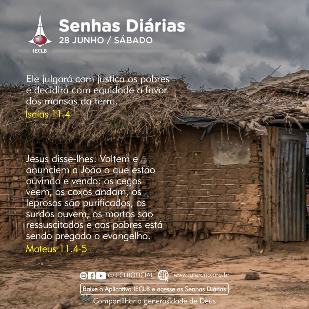 Senhas Diárias 28 06 2025
