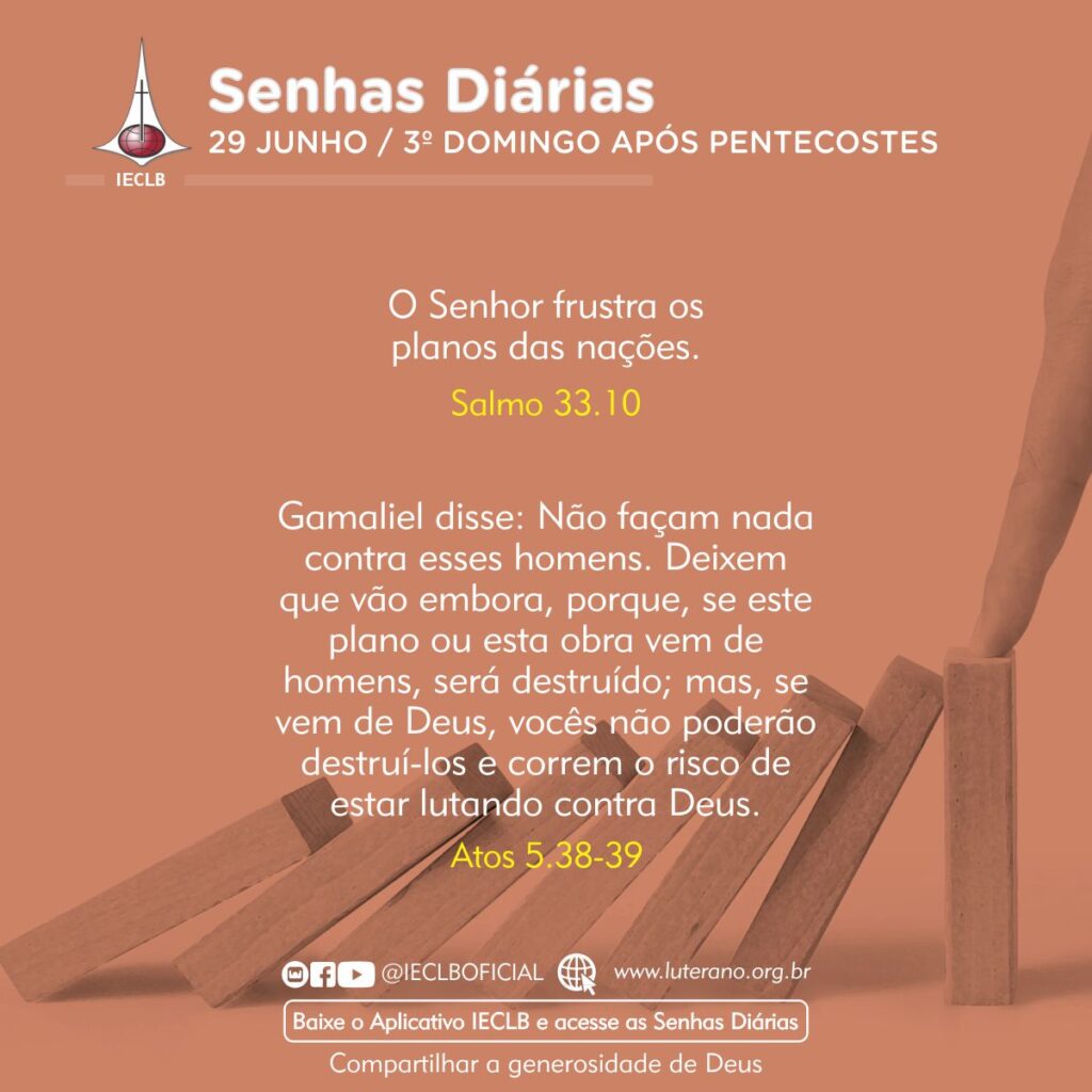 Senhas Diárias 29 06 2025