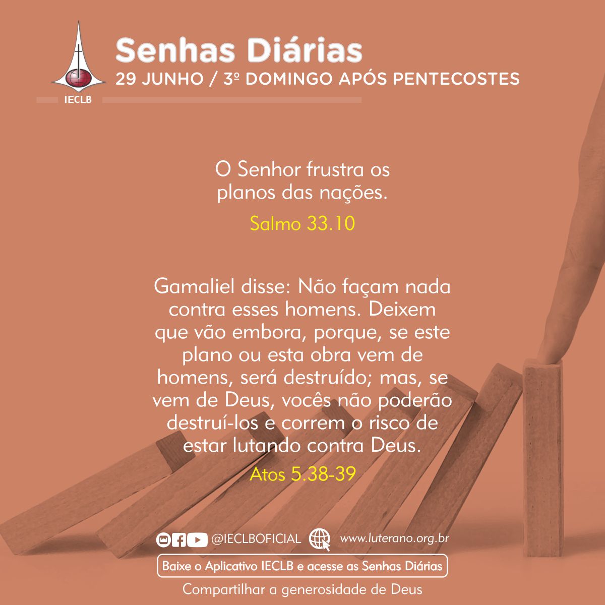 Senhas Diárias 29 06 2025