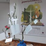 voluntárias da Pastoral do Cuidado