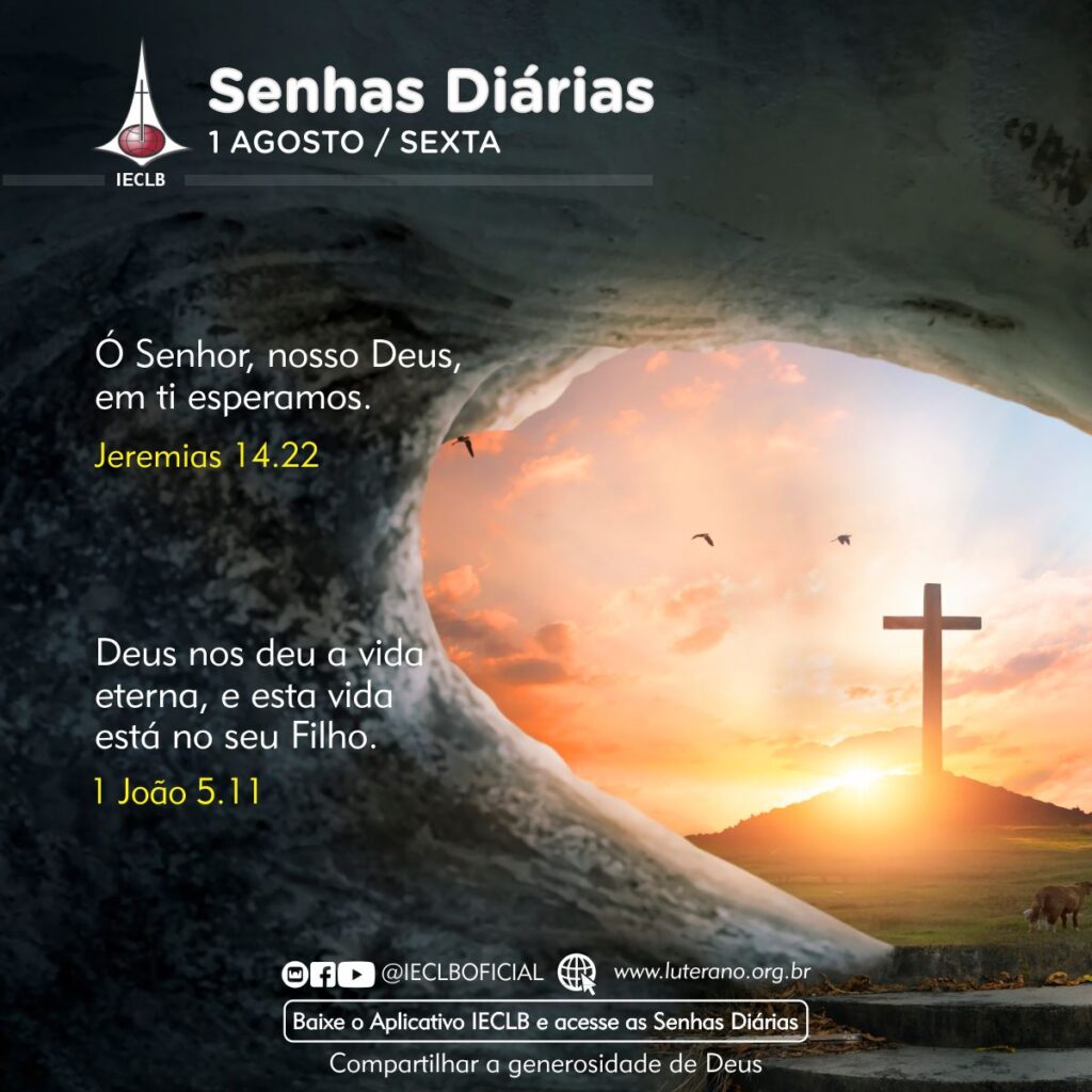 Senhas Diárias 01 08 2025