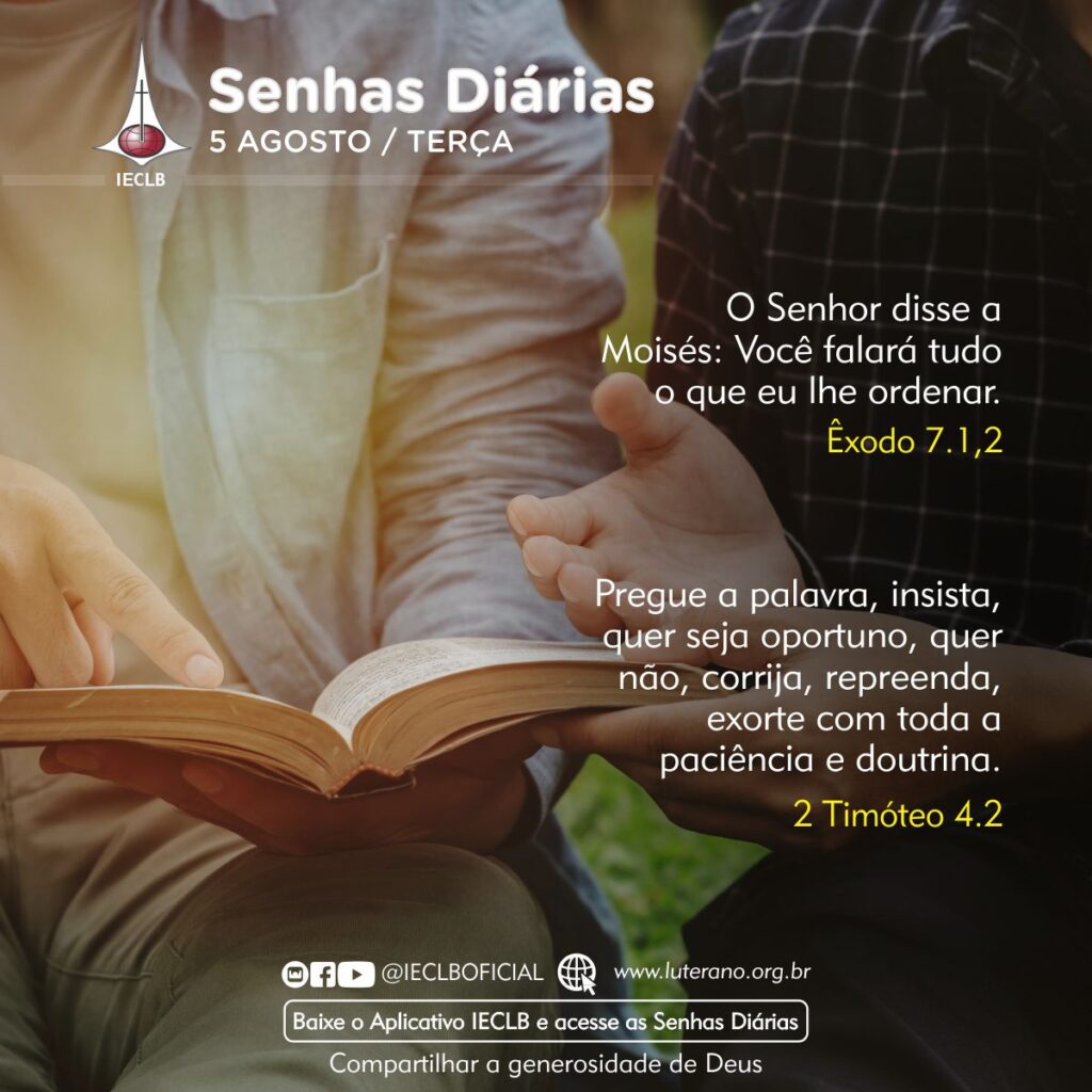 Senhas Diárias 05 08 2025