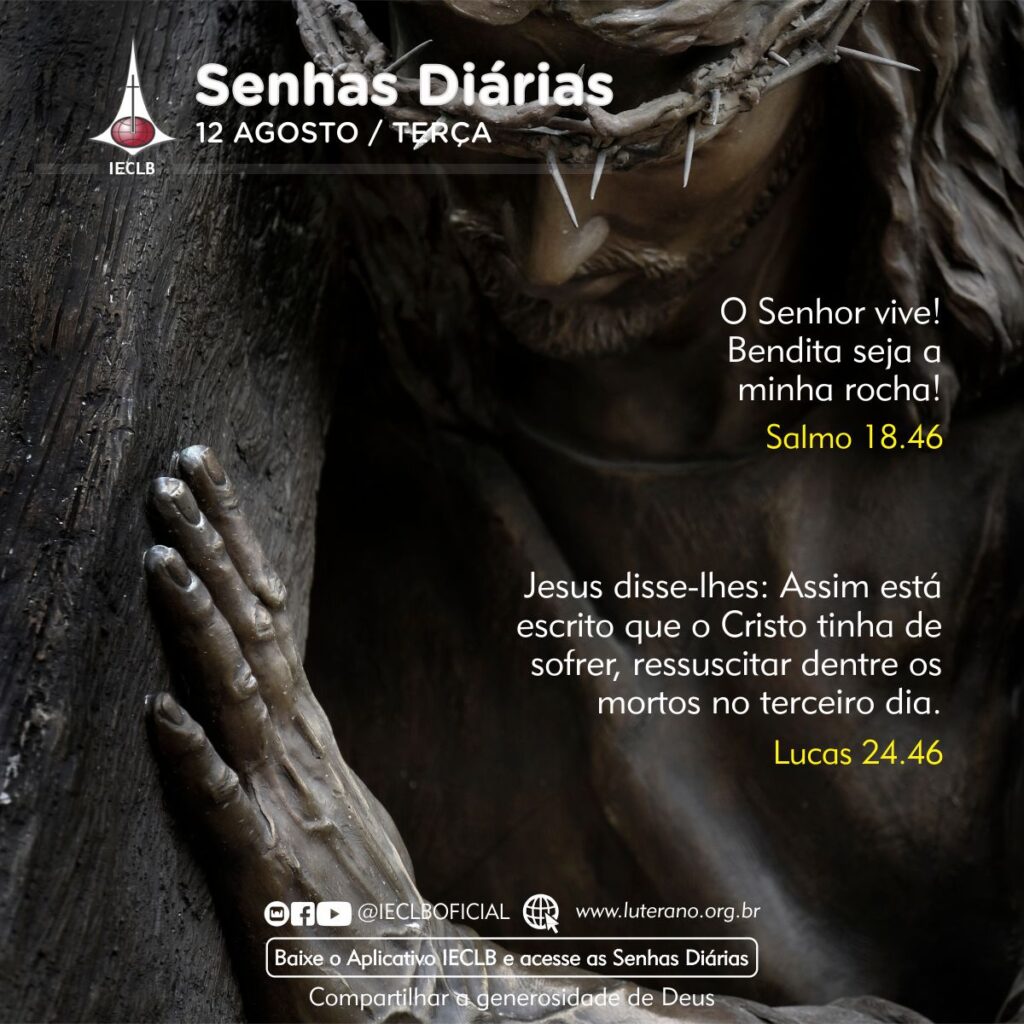 Senhas Diárias 12 08 2025