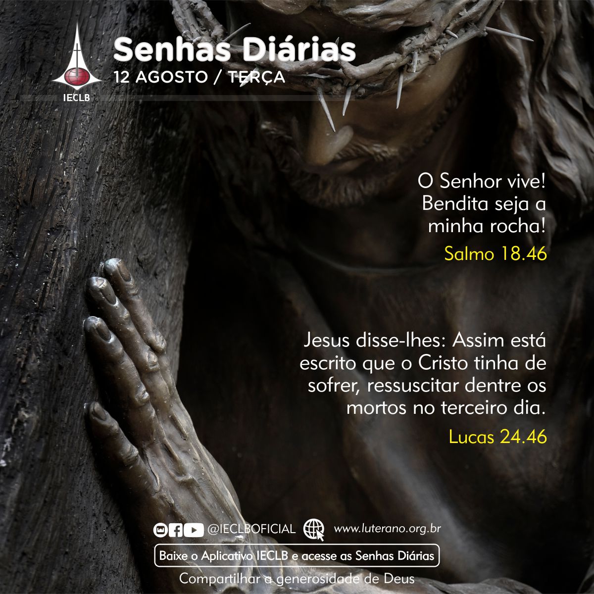 Senhas Diárias 12 08 2025