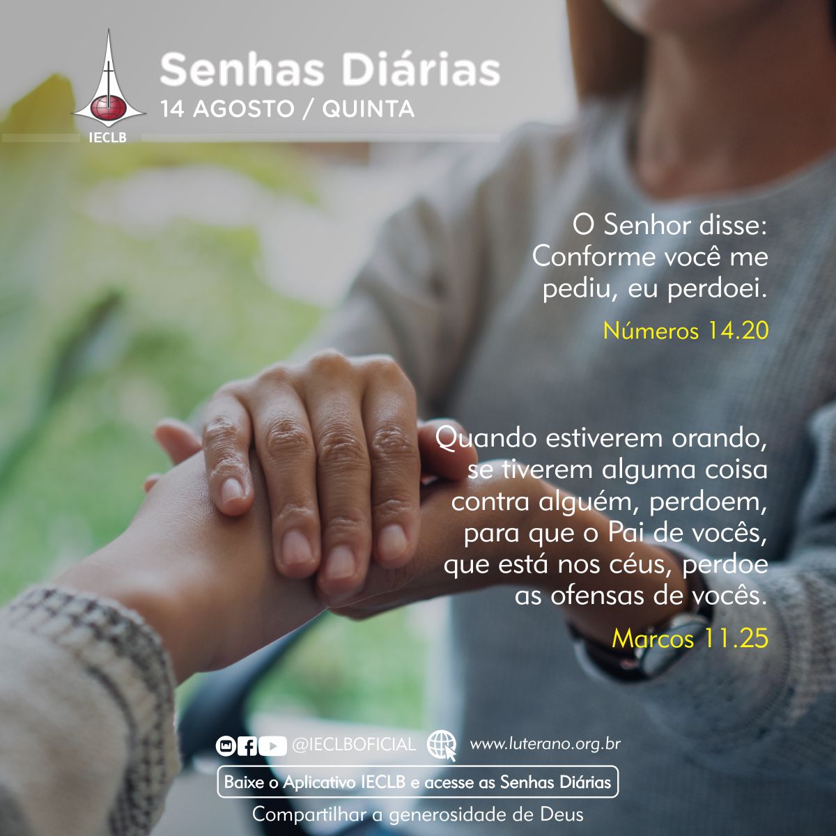 Senhas Diárias 14 08 2025