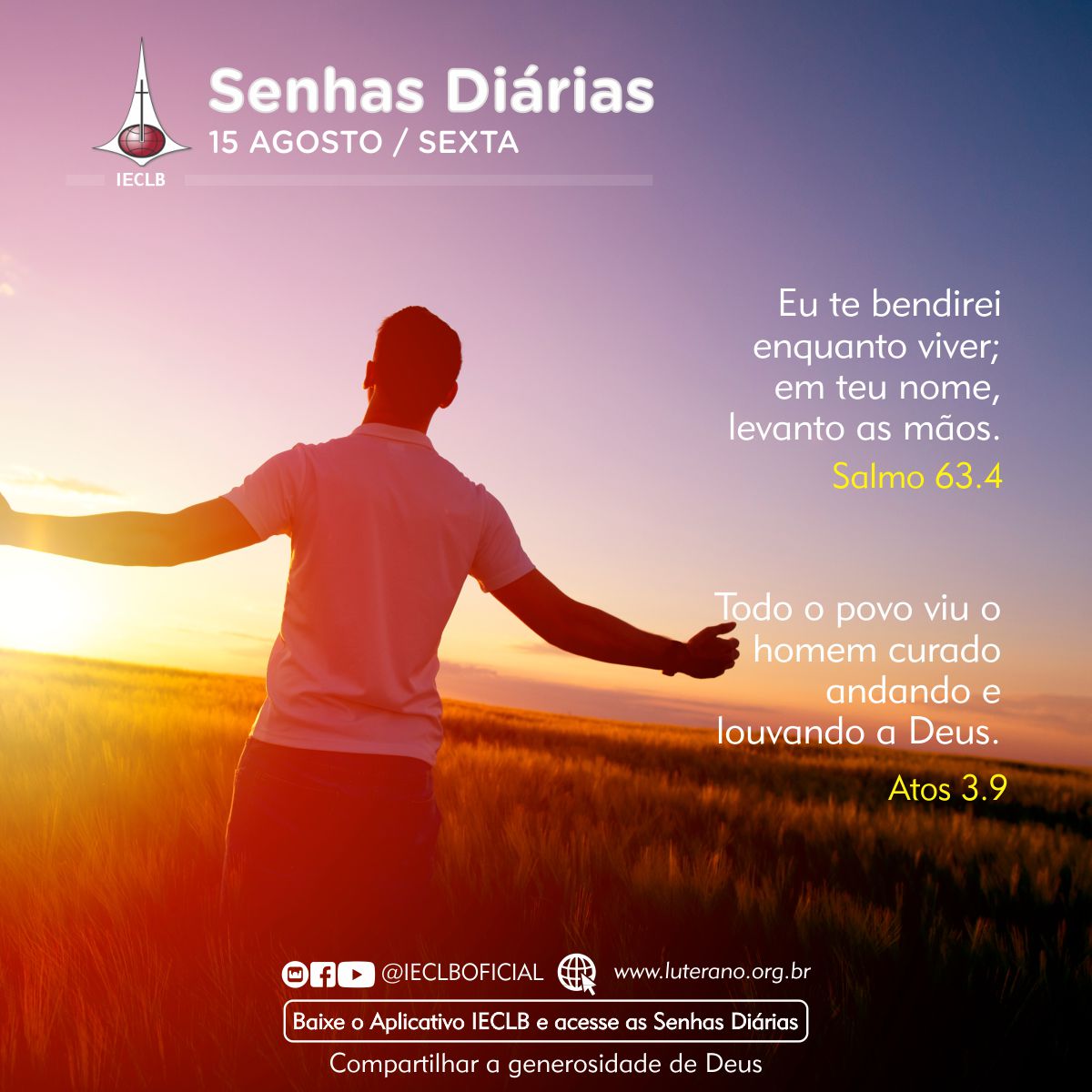 Senhas Diárias 15 08 2025