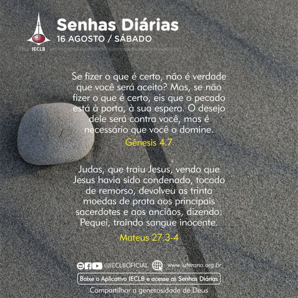Senhas Diárias 16 08 2025