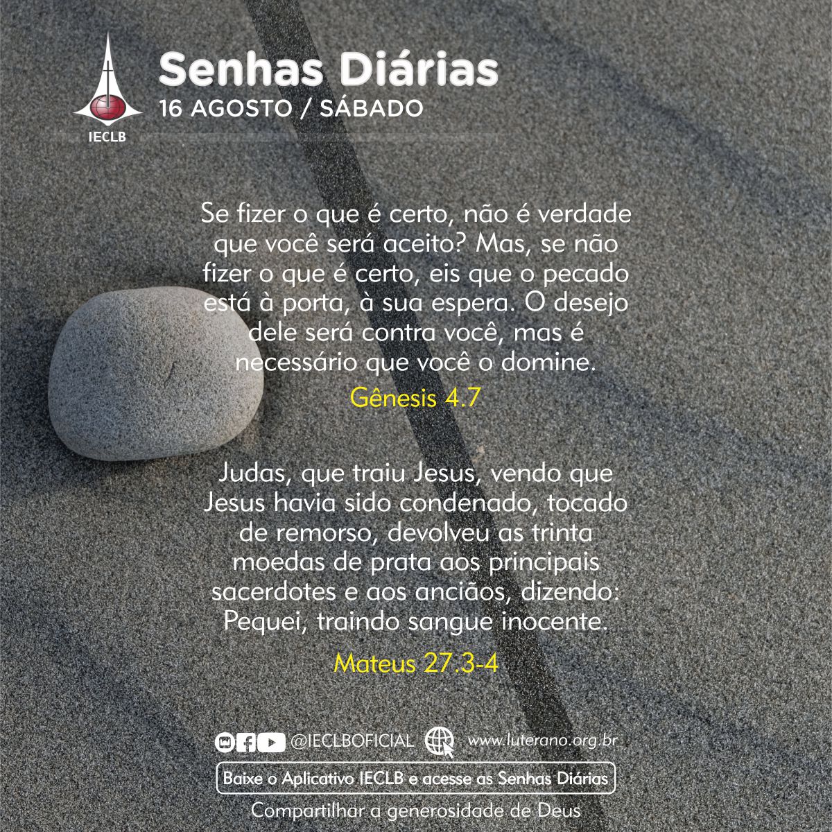Senhas Diárias 16 08 2025
