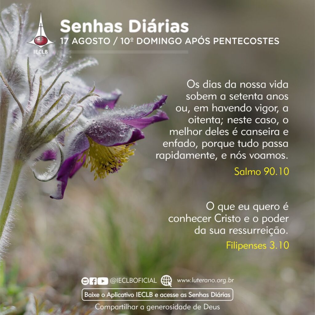 Senhas Diárias 17 08 2025