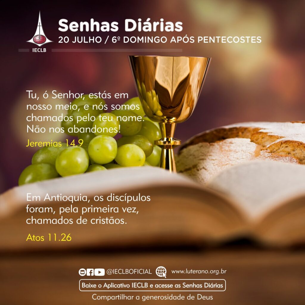 Senhas Diárias 20 07 2025