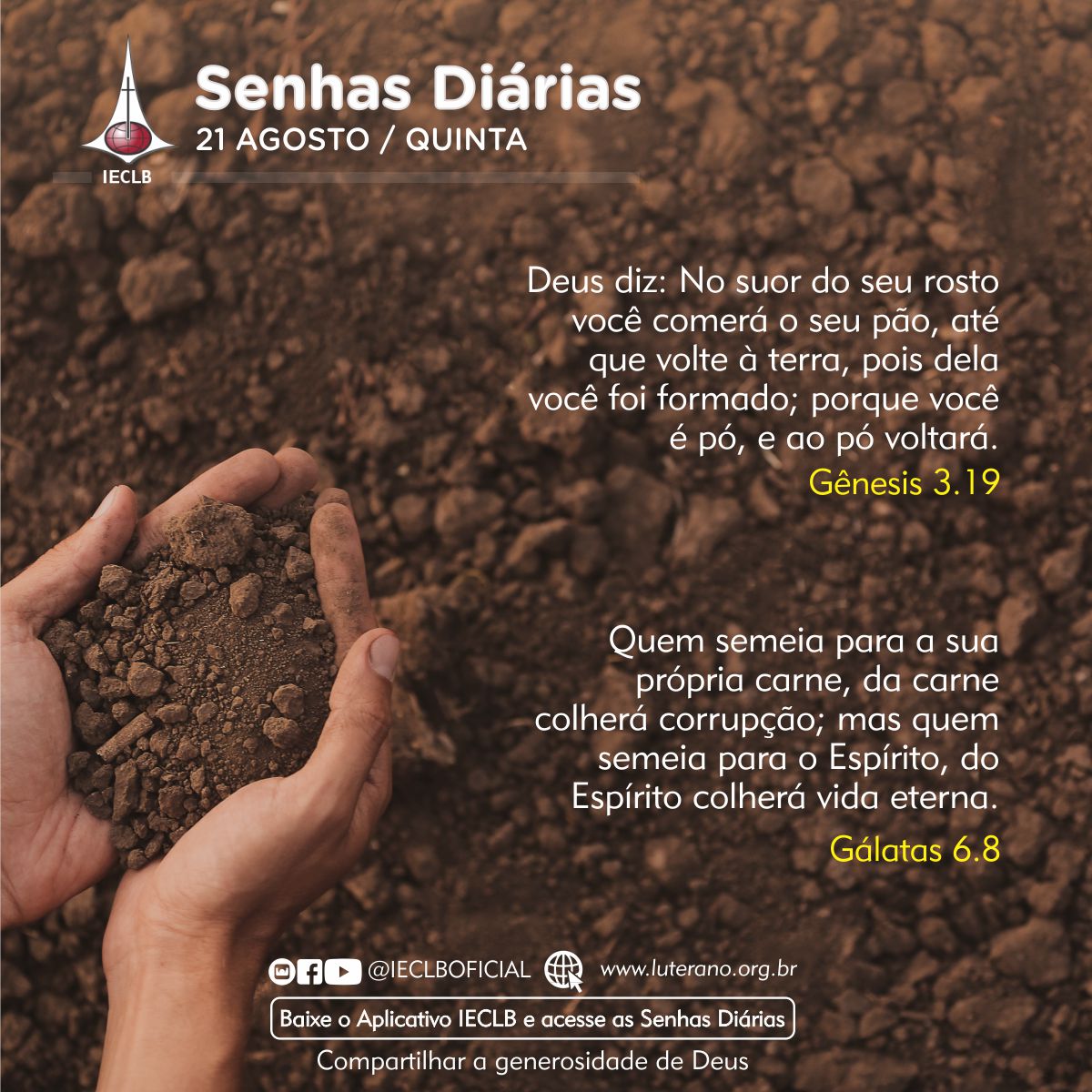 Senhas Diárias 21 08 2025