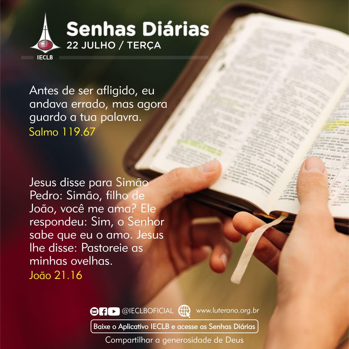 Senhas Diárias 22 07 2025