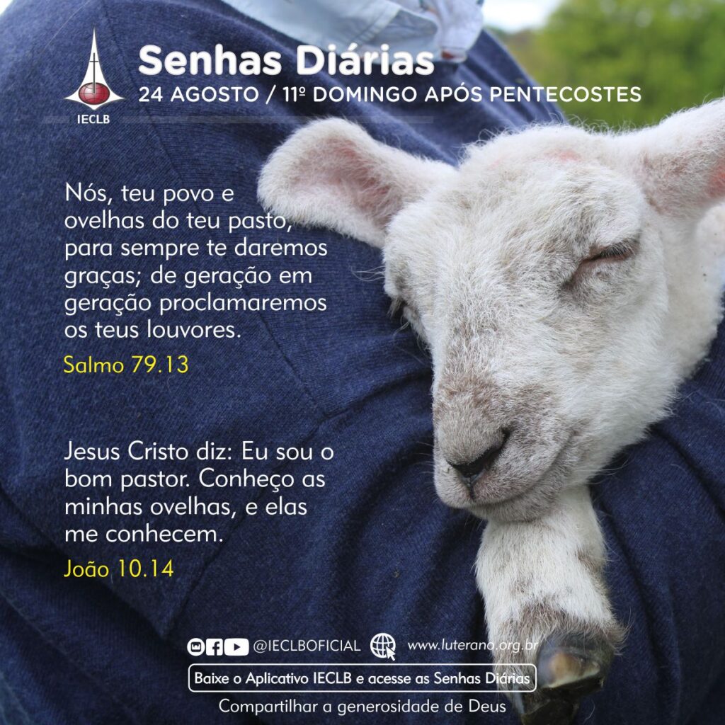 Senhas Diárias 24 08 2025