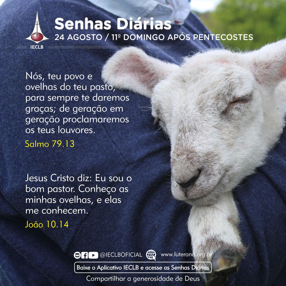 Senhas Diárias 24 08 2025