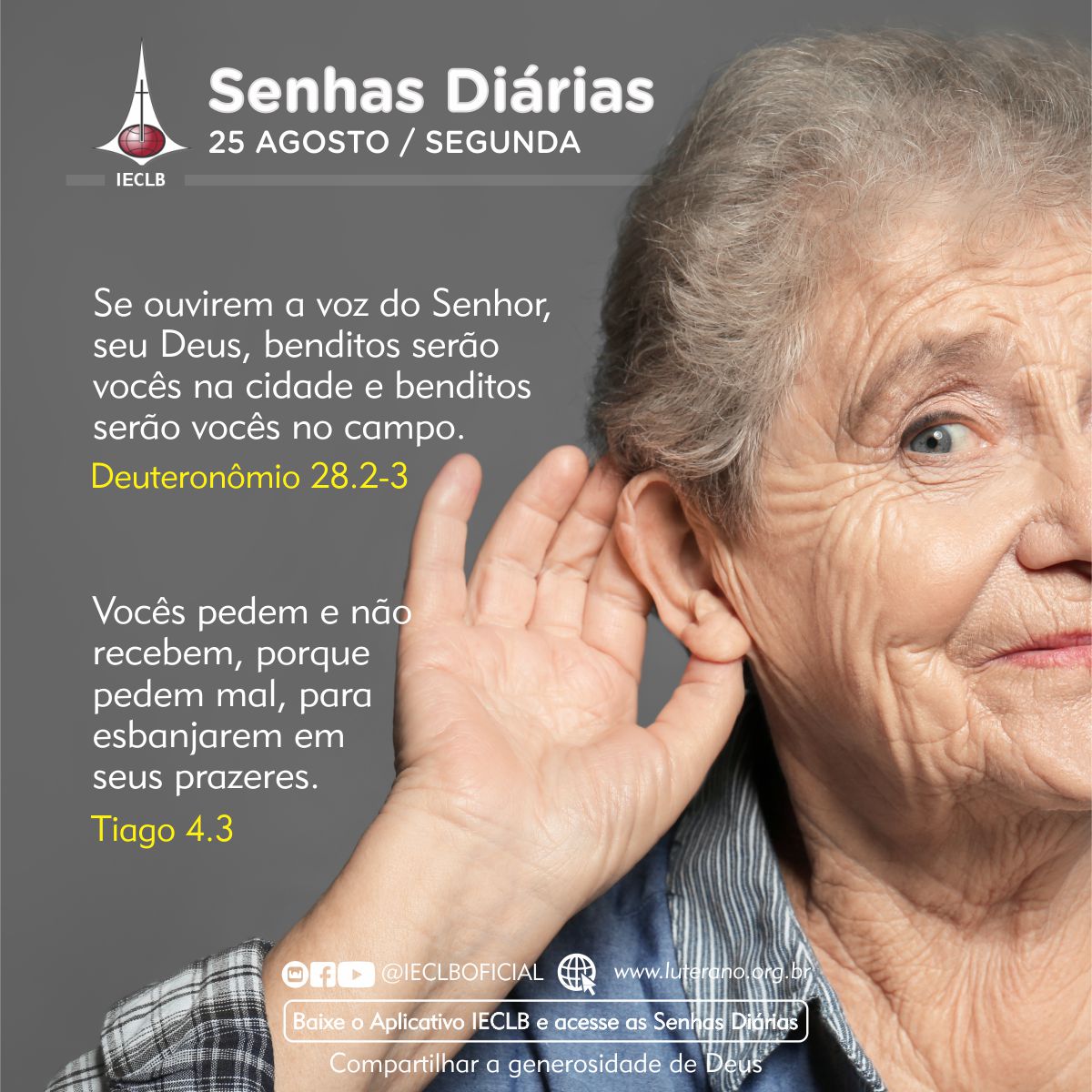 Senhas Diárias 25 08 2025