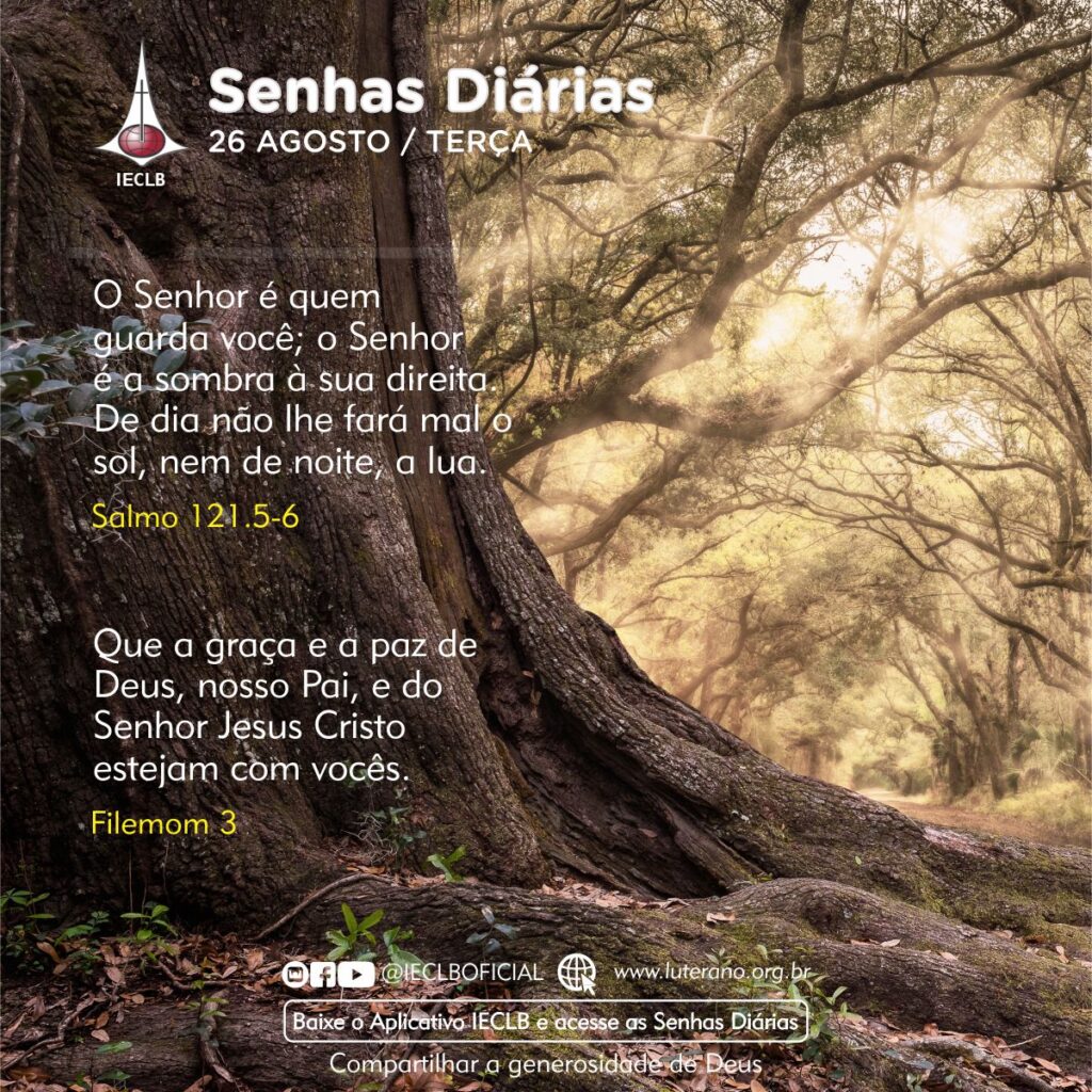 Senhas Diárias 26 08 2025