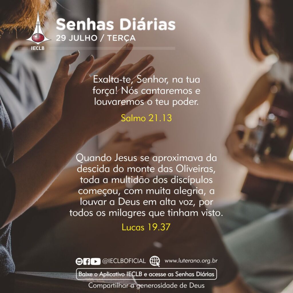 Senhas Diárias 29 07 2025