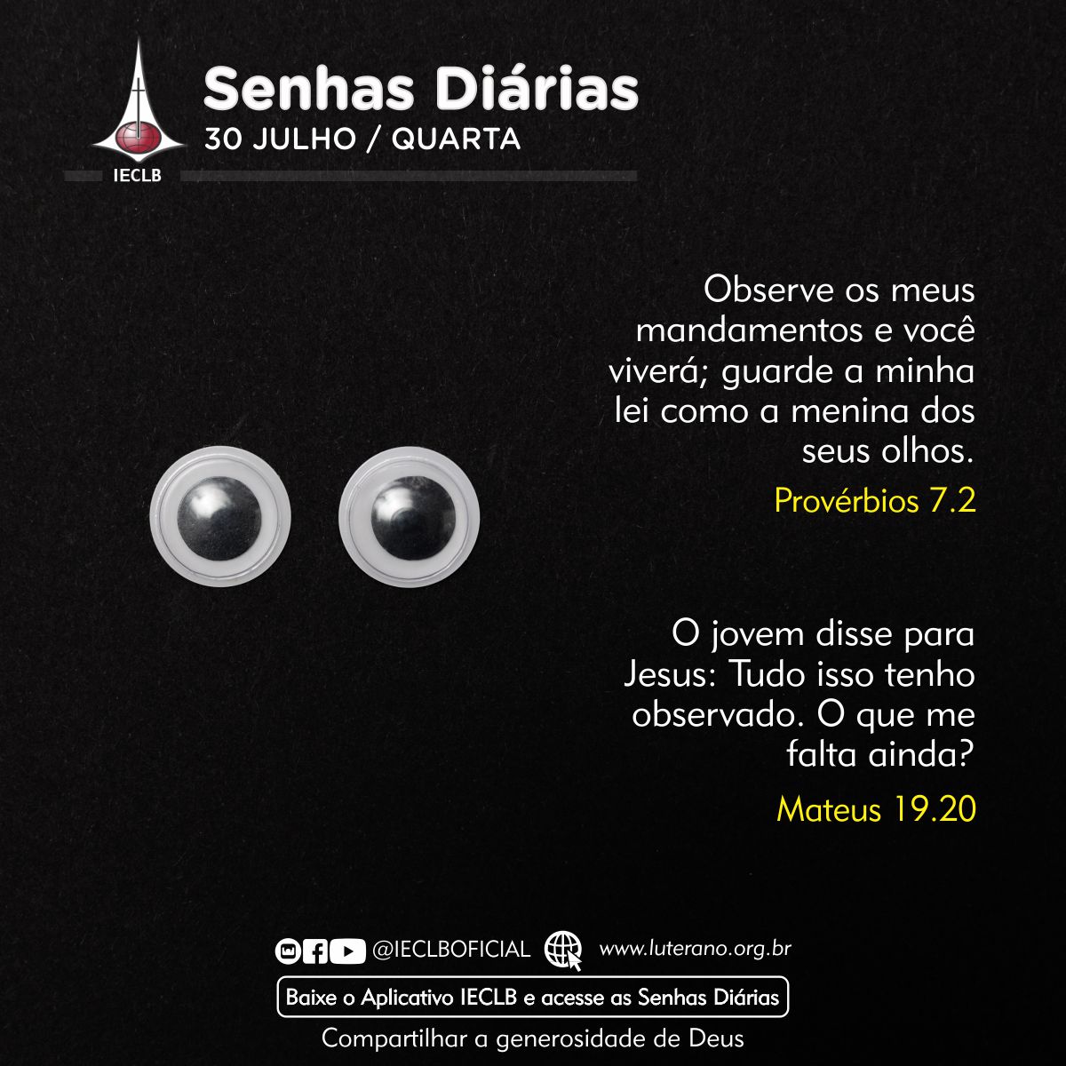 Senhas Diárias 30 07 2025