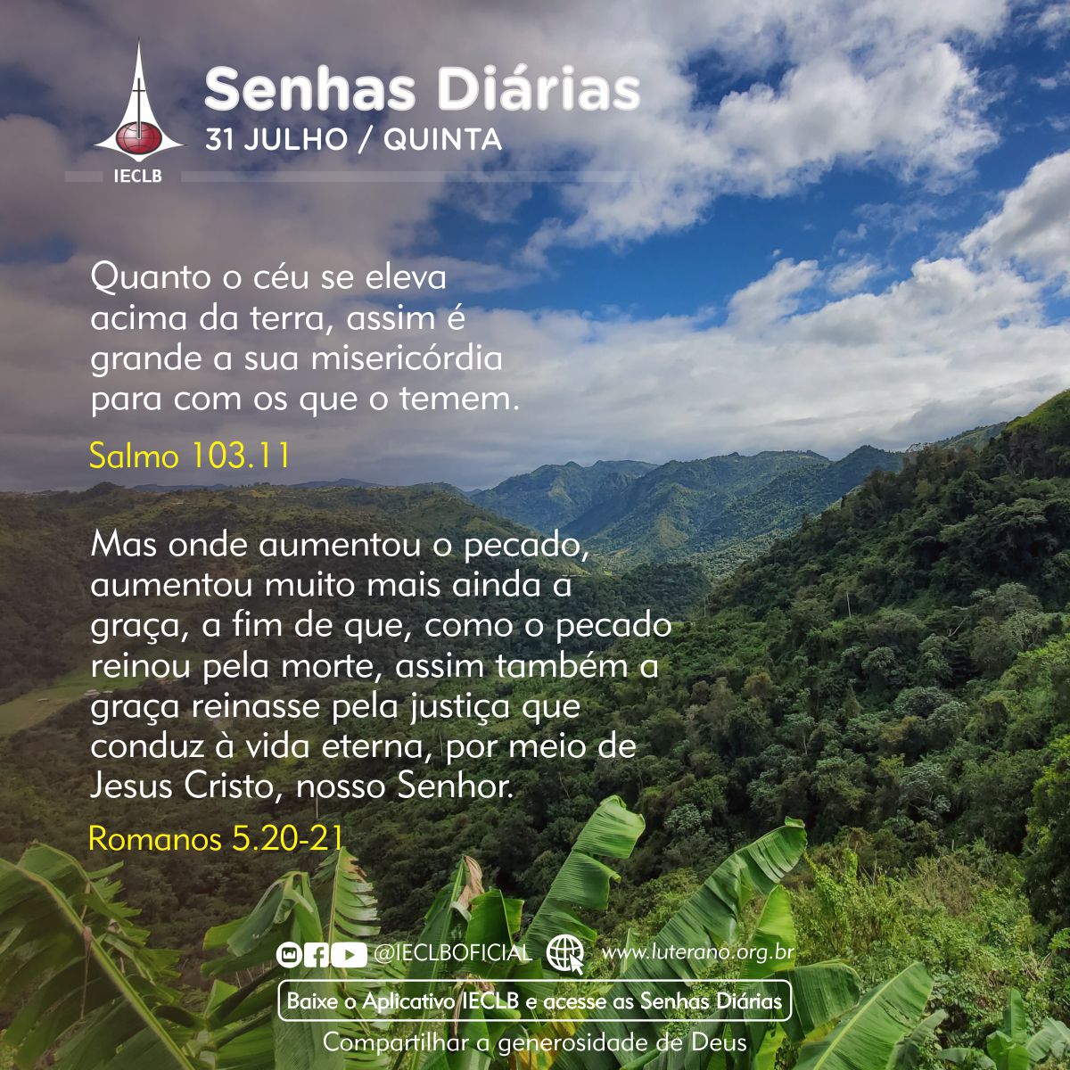 Senhas Diárias 31 07 2025