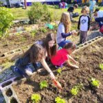 Cultivo da horta com as crianças no CEI Prefeito Hiláryo Zen