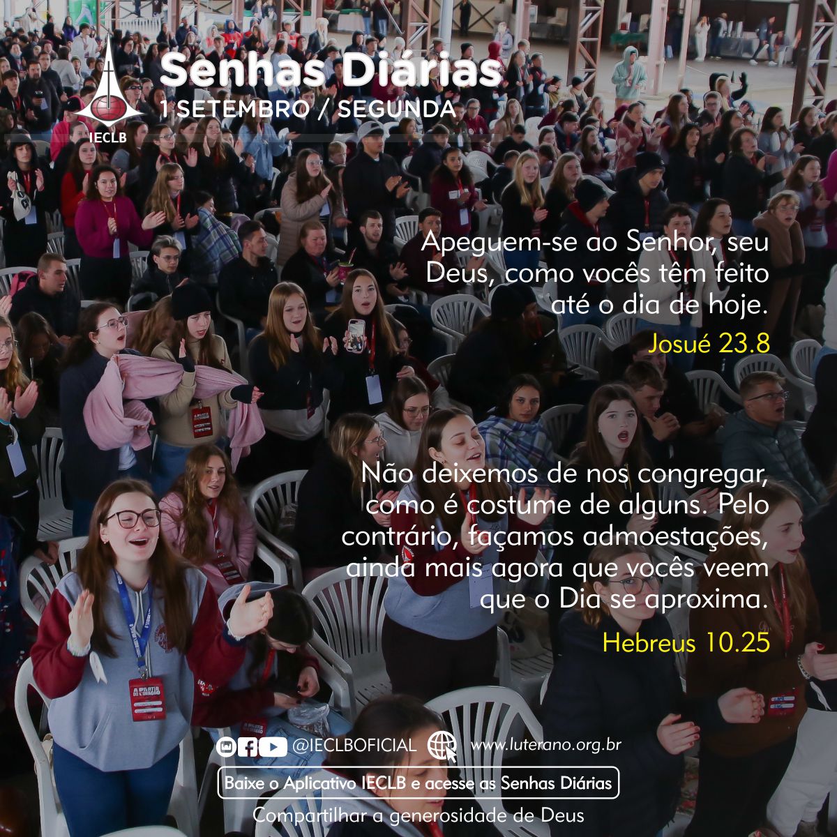 Senhas Diárias 01 09 2025