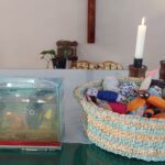 Peixes