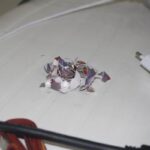 Resize of IMG_0483