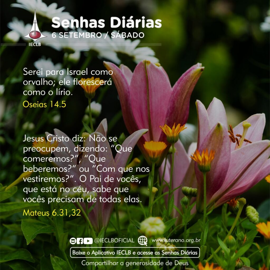 Senhas Diárias 06 09 2025