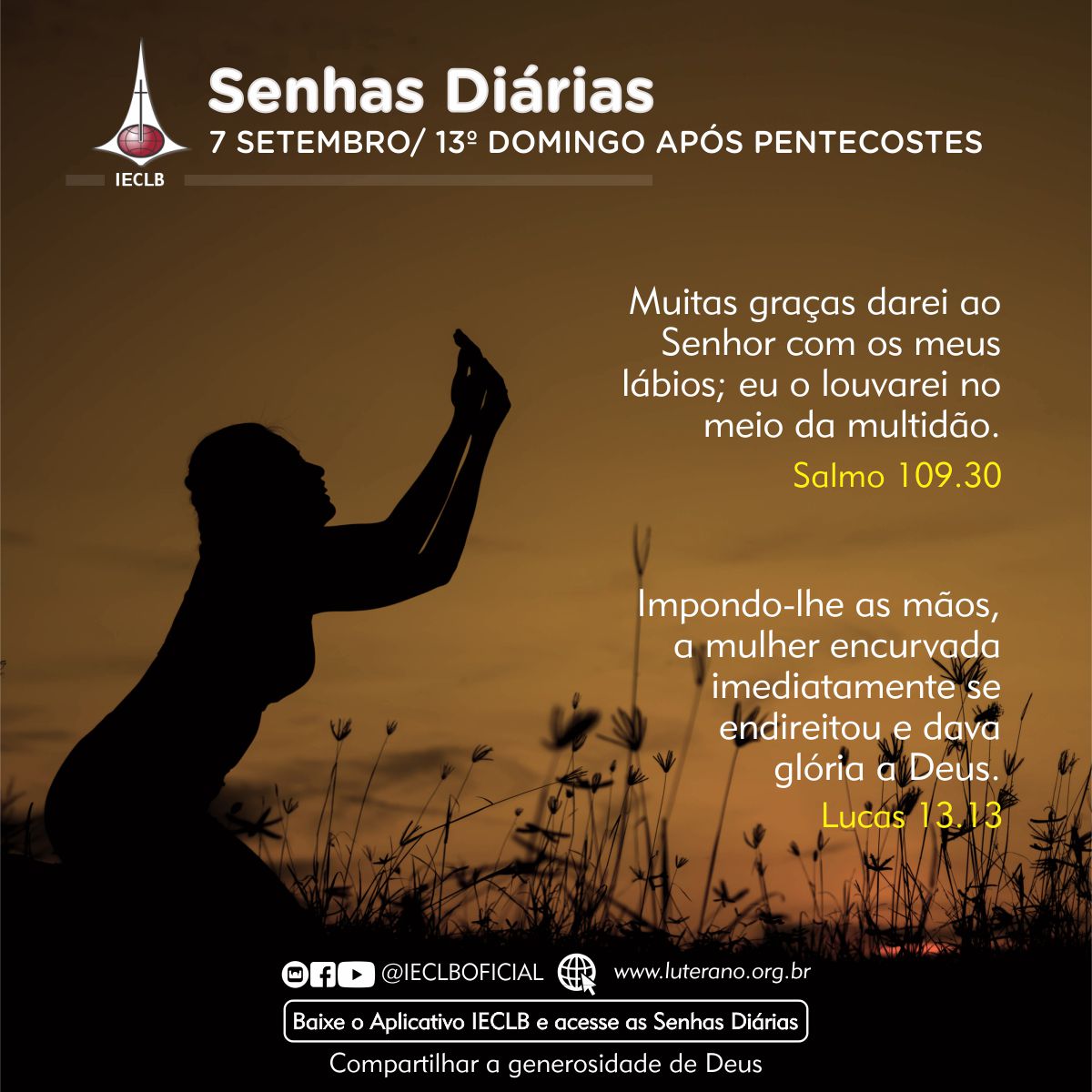 Senhas Diárias 07 09 2025