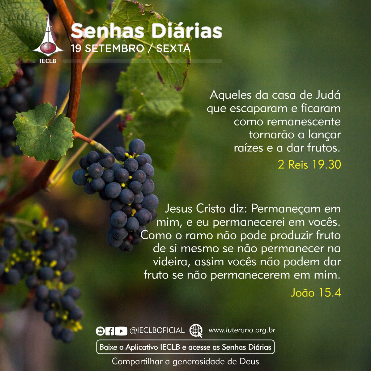 Senhas Diárias 19 09 2025