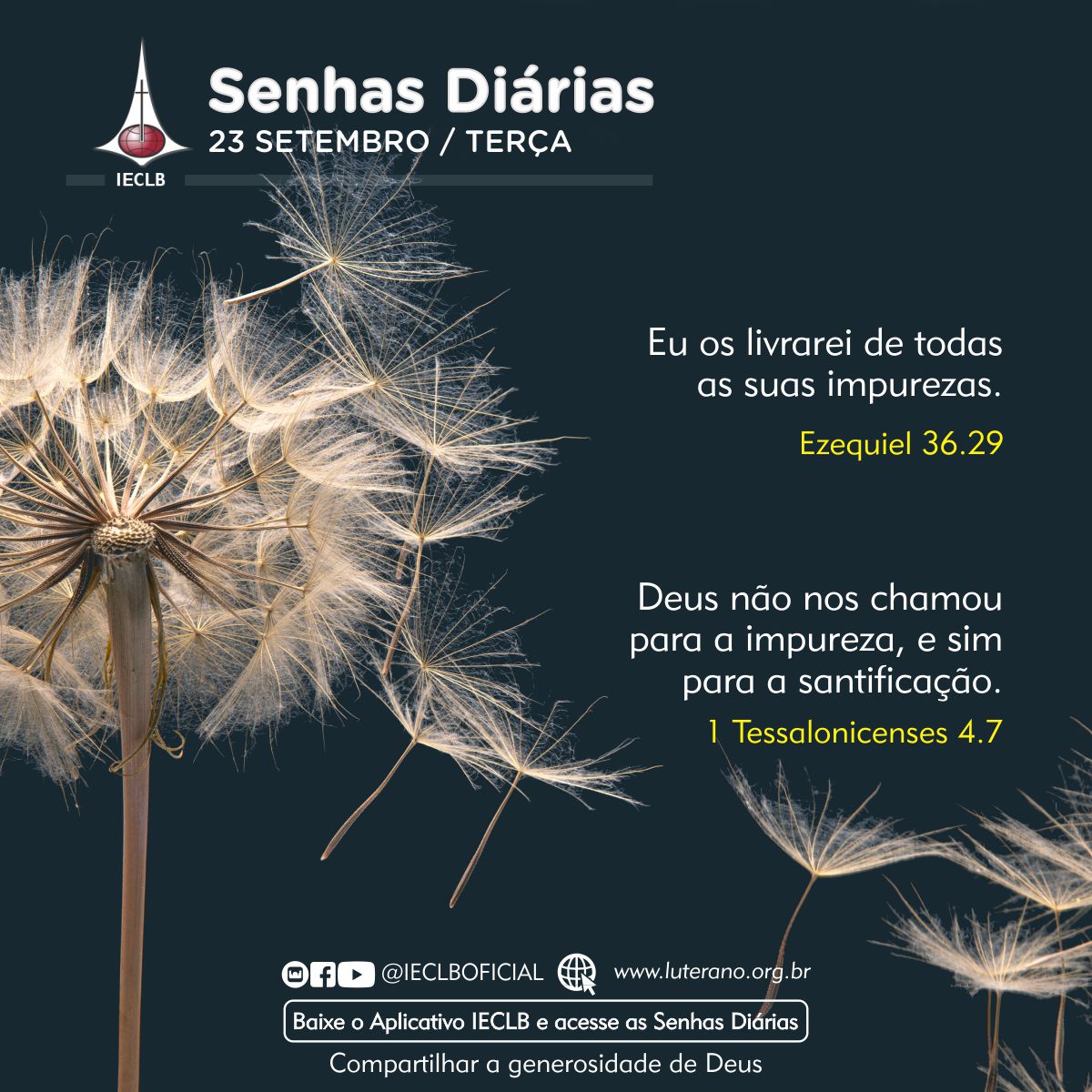 Senhas Diárias 23 09 2025