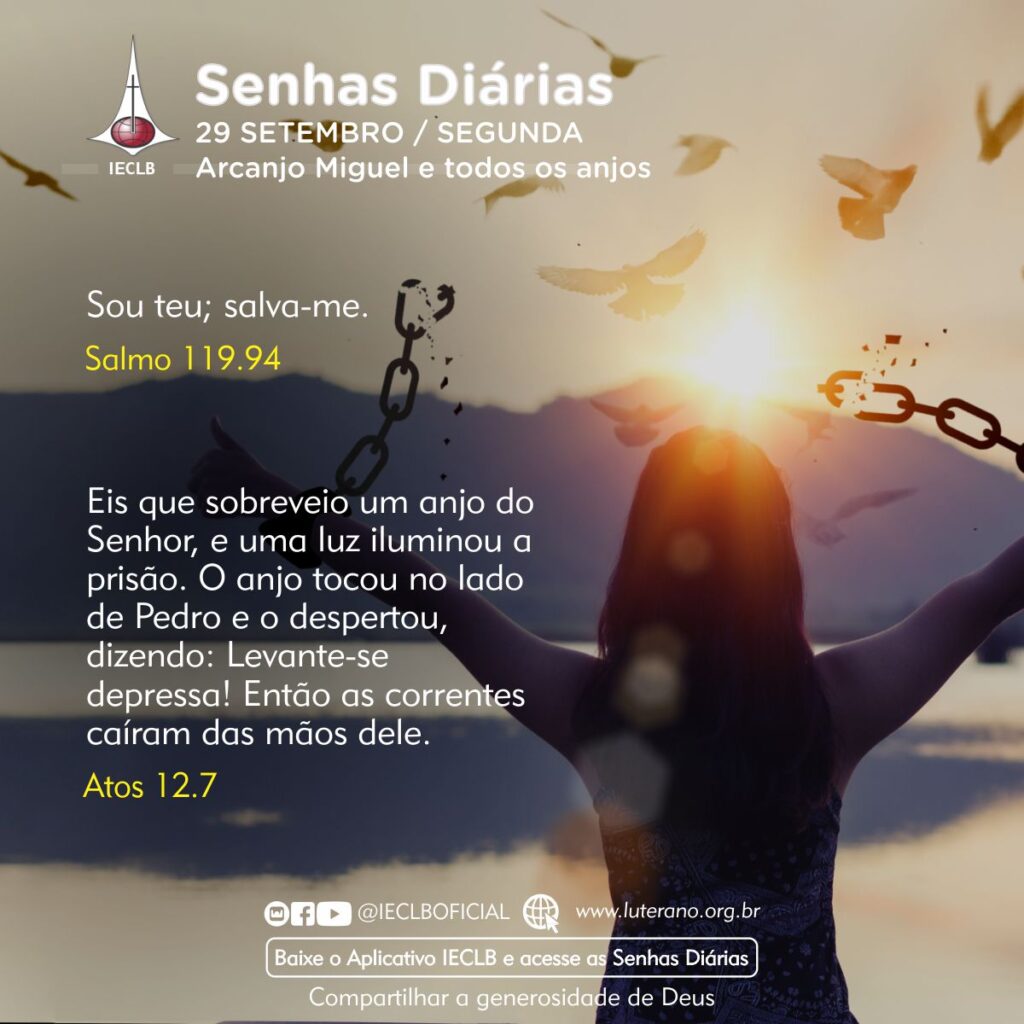 Senhas Diárias 29 09 2025