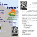20251025-O que é ser Perfeito-flyer-r-v2