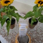 Café com Palavra - Caxias do Sul (4)