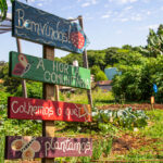 Horta Comunitária em Teutônia