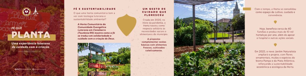 Horta comunitária Teutônia - 1