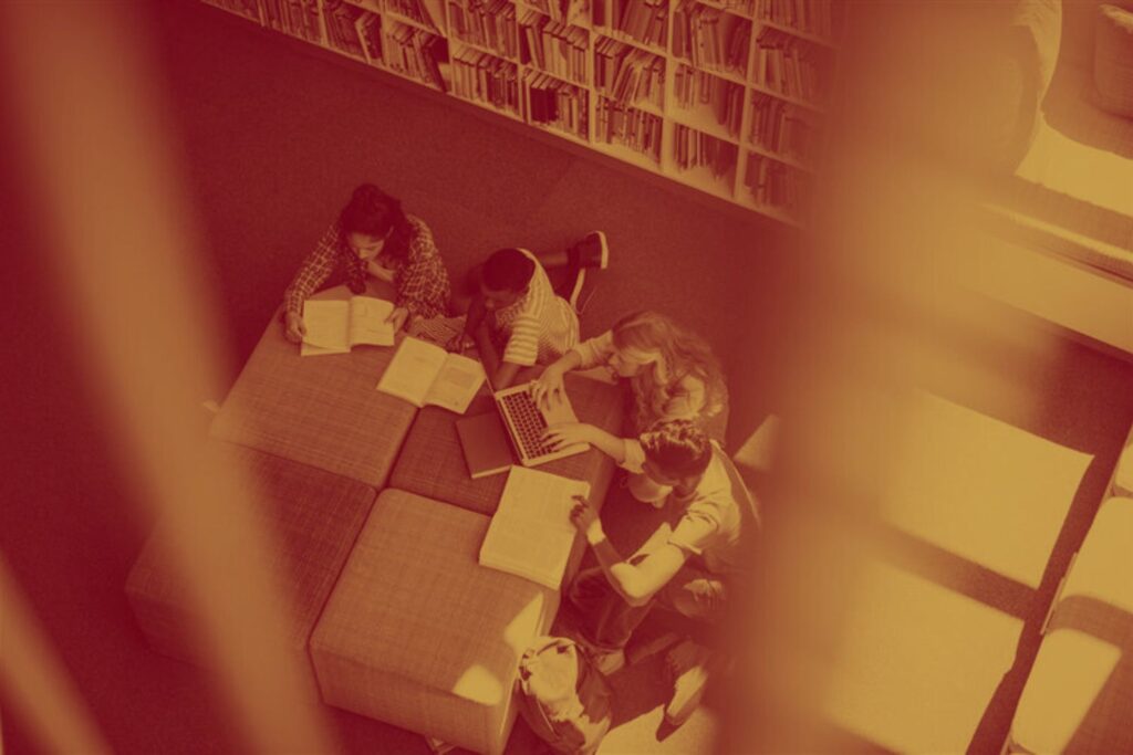 Reforma, educação, formação