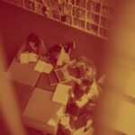 Reforma, educação, formação