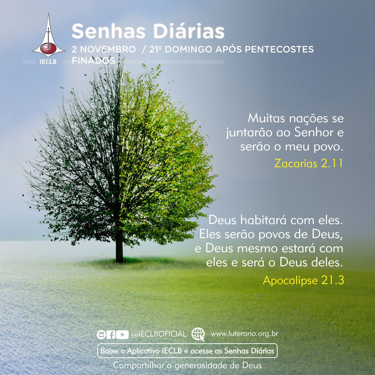 Senhas Diárias 02 11 2025