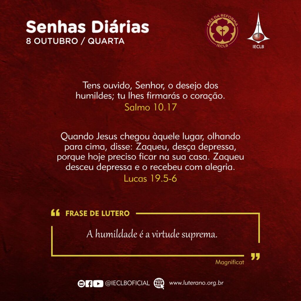 Senhas Diárias 08 10 2025