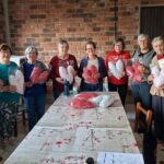 Almofadas do coração (1)