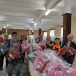 Almofadas do coração (5)